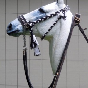 Fig.8. ‘Hanson’ bridle. Unlike the Kuwait bridle, the cheek pieces (ending in large tassels) are adjustable to fit horses of all sizes. The small tassel shows the point of attachment of the throat latch (Figs. 5 & 6) 2015 © Robert Cook, photo: Fridtjof Hanson