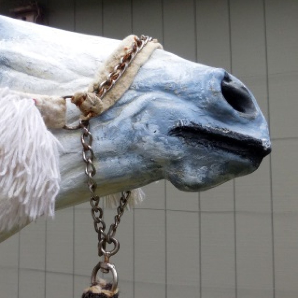 Fig.2. Felt noseband and link chain connection to a single rein. The chain is lightly attached to the felt with thread sutures. The horse’s chin is pressure-free and pressure on the bridge of the nose is limited to the weight of the rein 