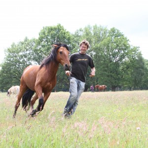Bewegung ist gesund für Pferd und Mensch. BU: Bernd Pasche © Weinzierl, Foto: van Uden
