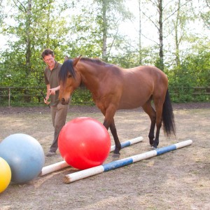 Das Spiel,schafft Abwechselung für Mensch und Pferd. BU: Bernd Paschel. © 2011, Weinzierl, Foto: van Uden